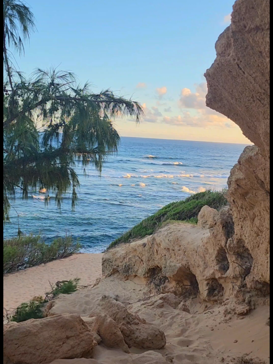 A real glimpse of Kauai – this is what paradise looks like! 🌺🌊 #Kauai #KauaiIsland #RealKauai #Life #AdventureAwaits #Wanderlust #realnature #trueparadise #hawaii #napalicoast #ocean #heaven #sun #travelinspo #beauty  #dolphins #nature #explore #princeville #thegreatoutdoors #godsland #thisis4u #free #waves #tiktoktravel #moana 