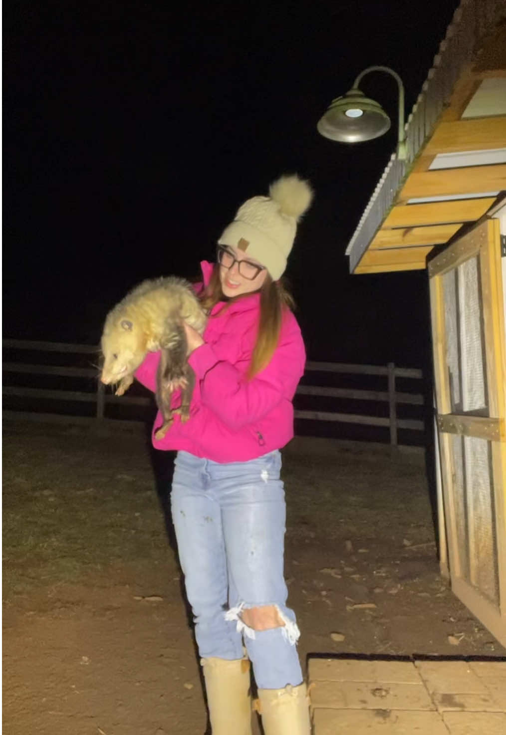 Tell Alfredo you like his dance moves. He was a little embarrassed. #possum #opossum #alfredothepossum #chickens #chickencoop #farmer #farm #farmlife #homestead #homesteading #nc #wildlife 