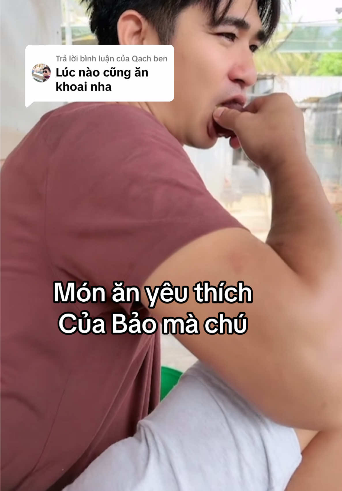 Trả lời @Qach ben ngày mới vui vẻ nha mấy chú#baosting #binhyen #xuhuong #baosting #thuocga #anhtuyet #xuhuong 