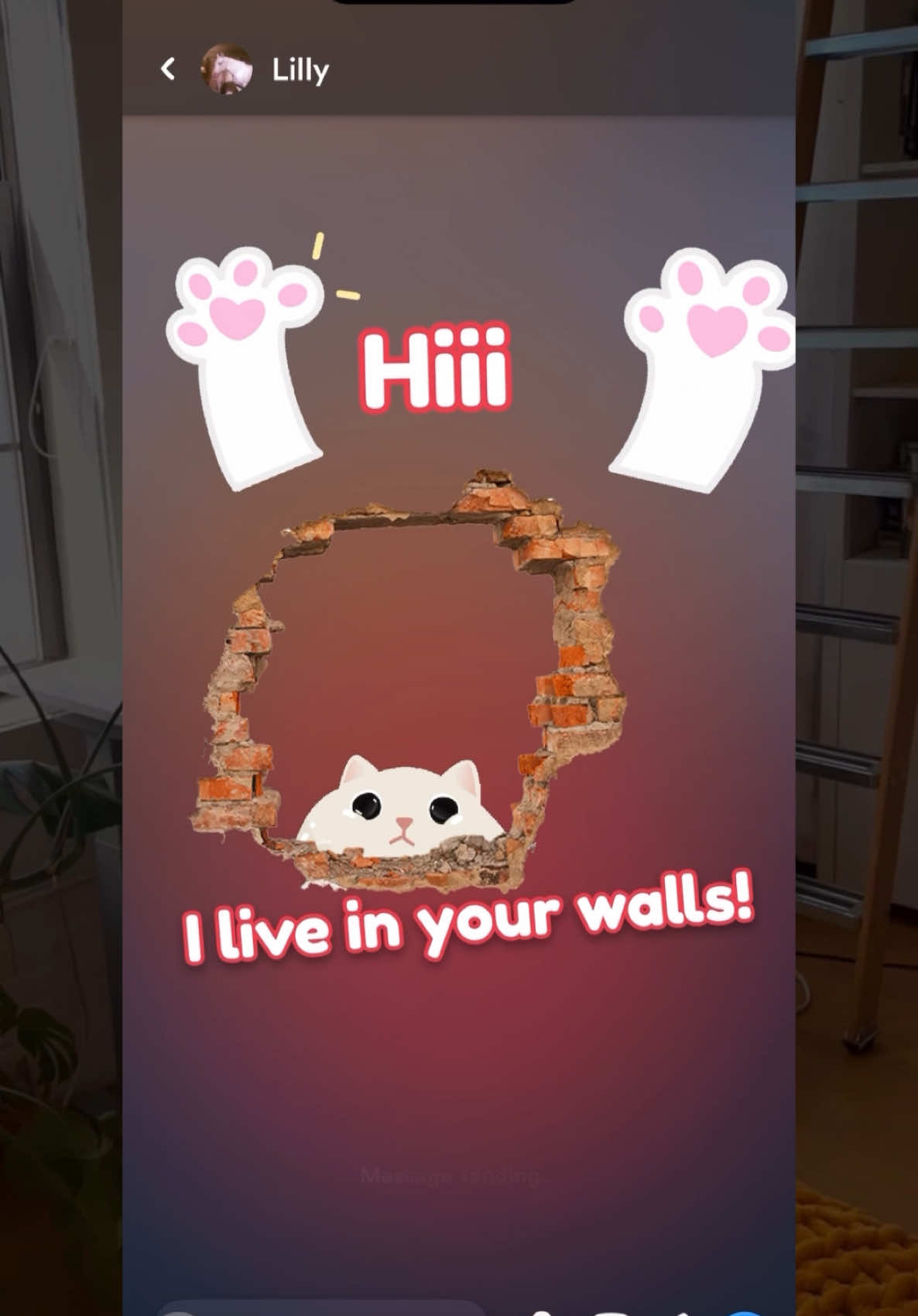 i live in your walls  #fyp #cute #cat #meme #moots #chat #digitalart 