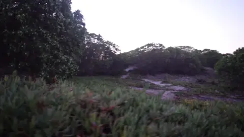 let me tell you about you                                                                                                           ‎ ‎ ‎ ‎ ‎  ‎                                               #fyp#digitalcamera#nature#depression#photography 