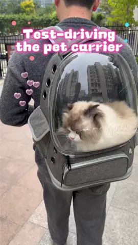 Use this new pet backpack, dala your furbabies para mag-outing na!🐾😻 #petcarrierbag #petcarrier #petbag#dogcarrier #dogcarrierbag #PetTok#TikTokMadeMeBuylt#petbackpack #Catcarrier #catcarrierbag