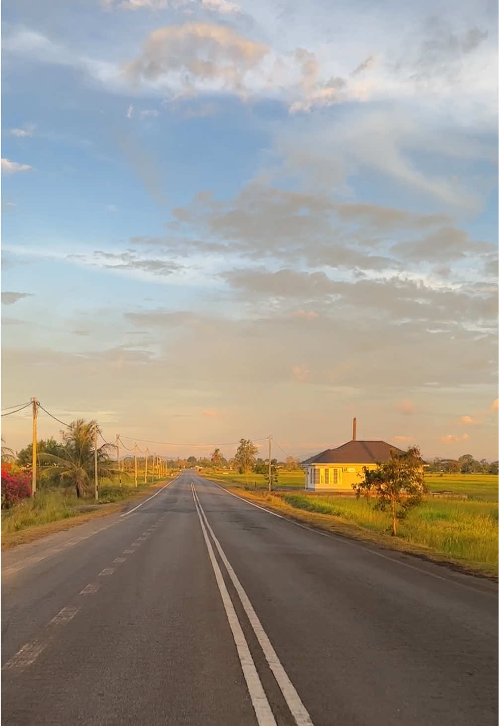 Ramai yang rindu Perlis rupanya..😢 Sini ketua belanja view di Perlis.😭 Cantik sangat. #perlismai💙💛 #nature #bendang #anakperlis #Kampung #sunset #PerlisHariIni 