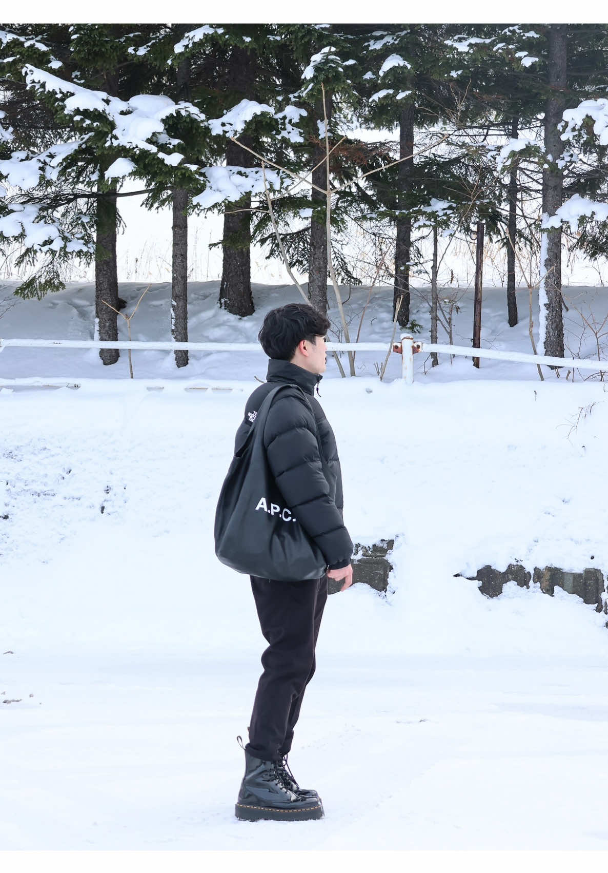 Mt. Moiwa, Sapporo, Hokkaido 🤍❄️ #sapporo #hokkaido #mtmoiwa #北海道 #札幌 #japan #japanwinter 