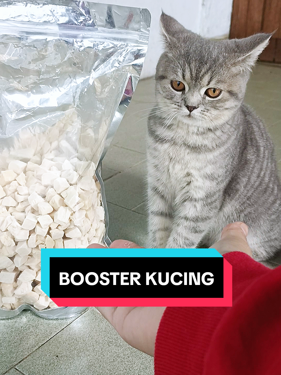Ada yang tengah mission nak gemukkan kucing?korang nak cari booster tinggi protein yang jimat, boleh masuk cart n check-out cepat2 sebab stok limit..kena berebut sikit sbb benda tak banyak..🫣 * harga mungkin berubah bergantung keadaan dan masa #boosterkucing #boostergemukkucing #cutepets #cattreats #dogtreat #petnutrition #feedmycat 