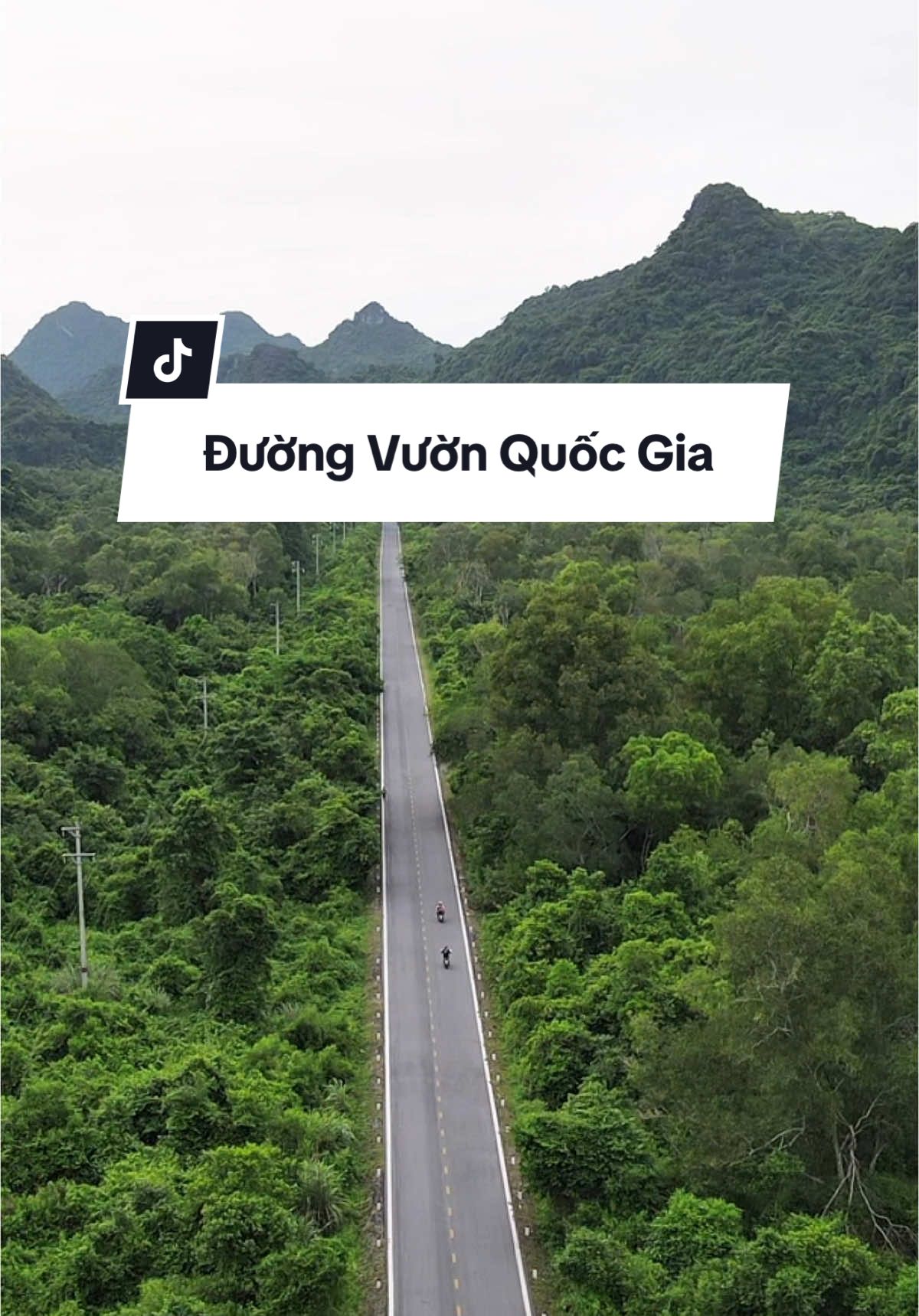 Hay thử 1 lần chạy trên cung đường xuyên rừng Quốc Gia khi tới Cát Bà và cảm nhận 😊 #mecatba #dulich #reviewcatba #catba2025 