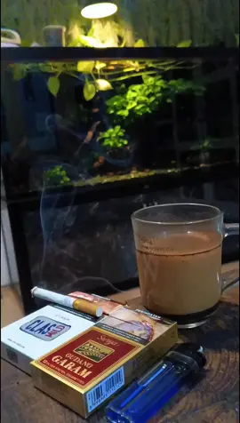 video mentahan ngopi malam hari. cocok buat prank story wa #videomentahan #ngopi #storywa #fyp #xybca #malang #jawatimur 