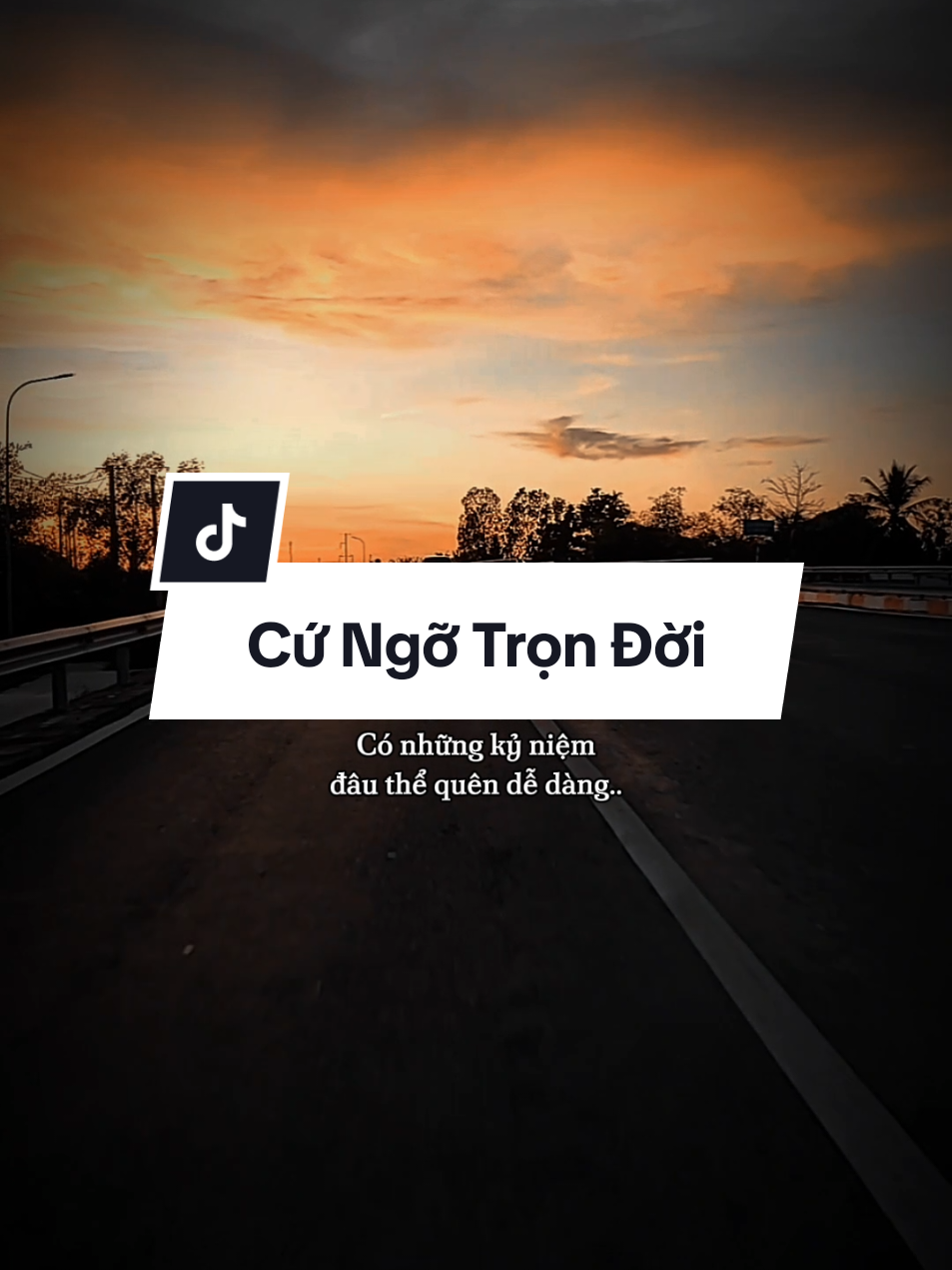 #CapCut Có những kỷ niệm đâu thể quên dễ dàng..#nhachaymoingay #SBTentertainment #keluytinh #capcutmaster #ngabayhaugiang #confide_one 