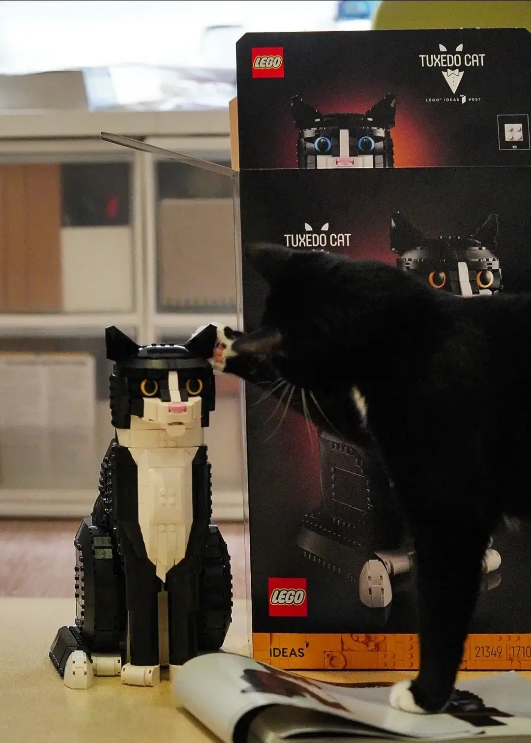 #fyp #lego #tuxedocat #cats #cat #catsoftiktok 