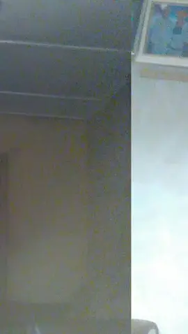 #greenscreen