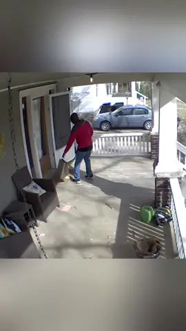 Delivery Staffs Got Scared by Dogs And Cats 🤣 #funny #fail #fails #gonewrong #trynottolaugh #laughing #funnyvideos #viral #trending #fyp 