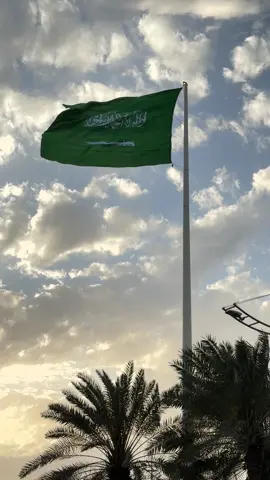 البيرق السعودي 🇸🇦 #المملكة_العربية_السعودية #يوم_التأسيس #التأسيس_السعودي #العلم_السعودي #غيم #اكسبلور #fyp 