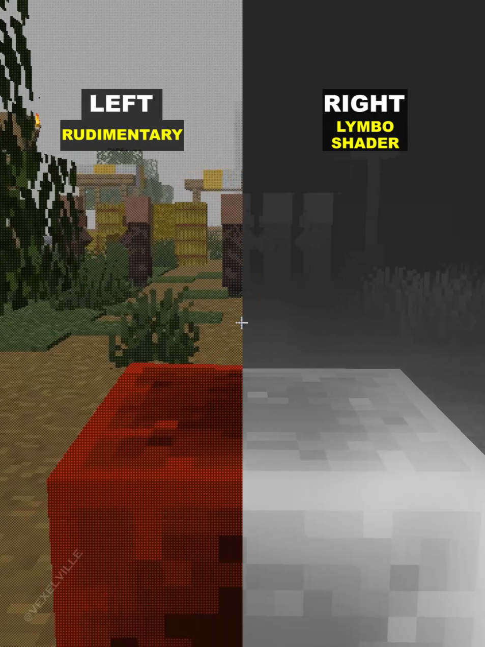 Which side will you pick? 🌫️ #Minecraft 