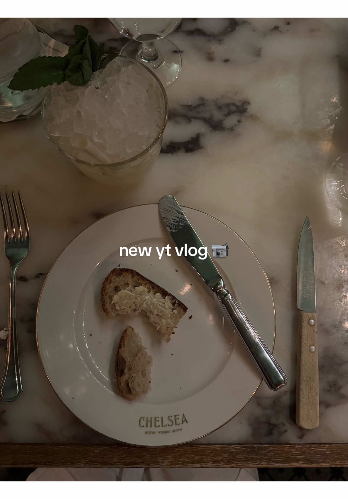New vlog on my YouTube channel 📹 just some lil tidbits of February in New York City (!!!) #vlogger #nyclife #nycvlogger 