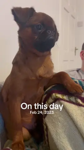 #onthisday 