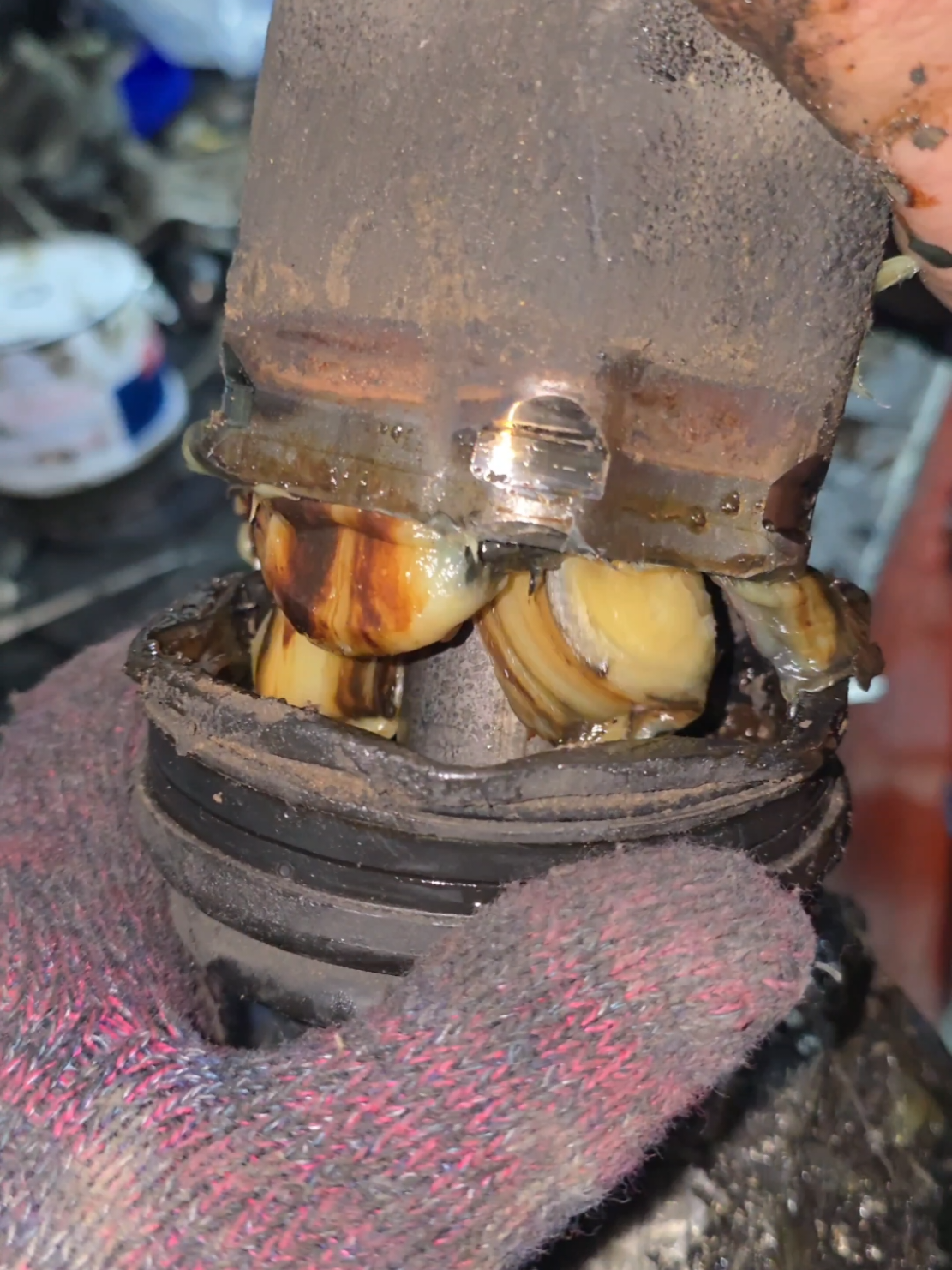 front Wheel Axle Bearing greasing #auto #mechanic #usa🇺🇸 
