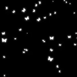 <З butterfly overlay | ВСЕ В ТГК “BBEMINI туториалы» #overlay #tutorials #capcut 