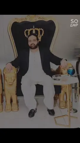 #BigBrother #FromanotherMother👑 #BaoAfzaalGujjar 🐆🦁