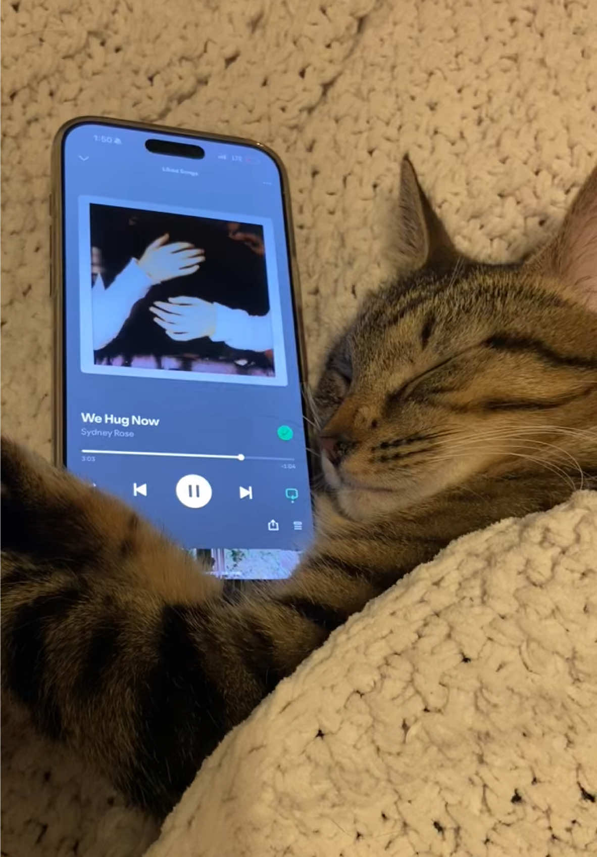 Rory’s playlist pt. 106 @sydney rose 🌙  #sydneyrose #wehugnow #spotify #musica #cat #catsoftiktok 