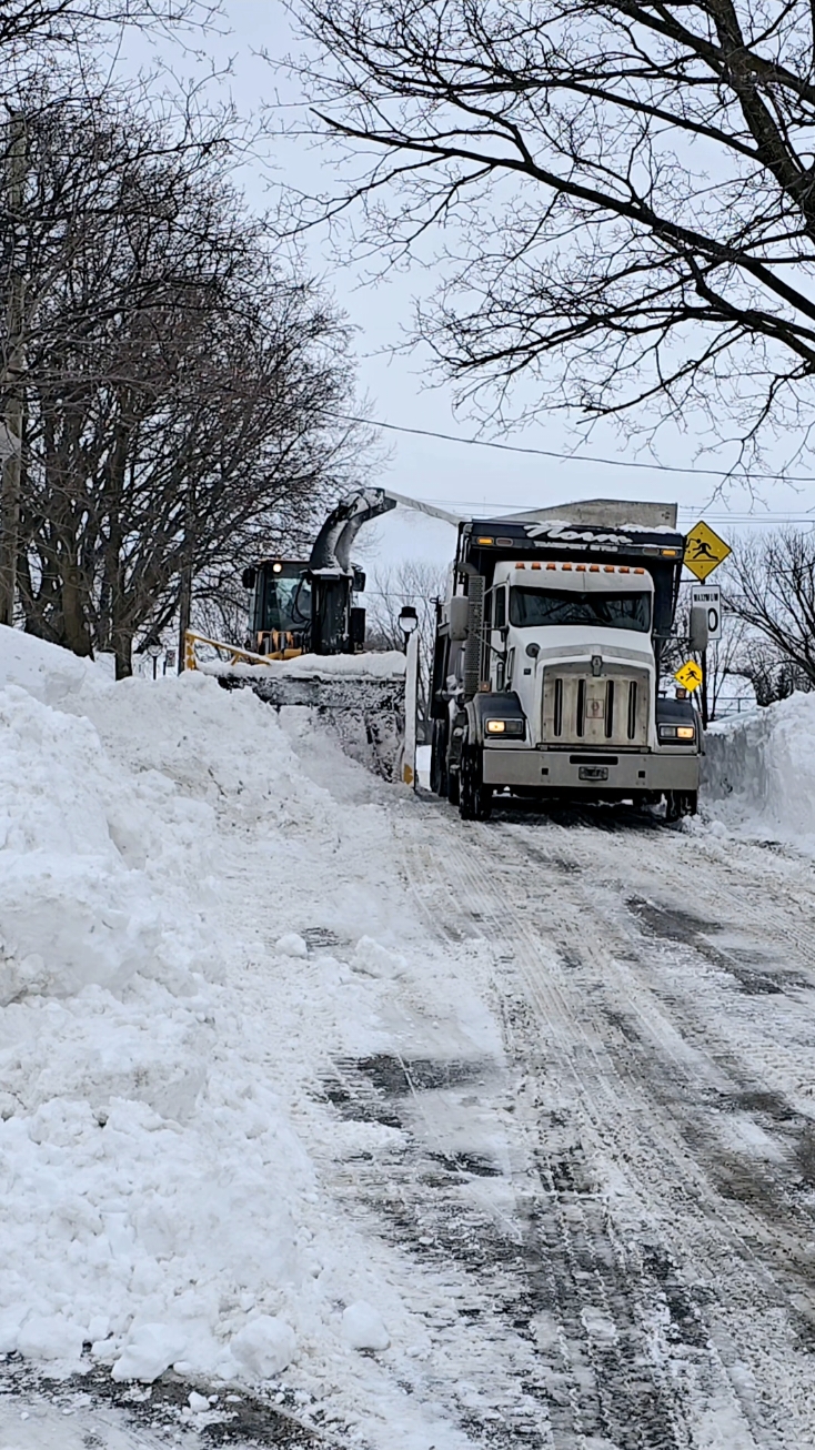 Montréal Snow removal #Montreal #snowremoval #winter #hiver #snow #neige #tiktokmontreal #mtltiktok #creatorsearchinsights 