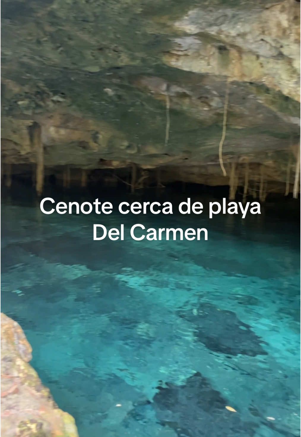 Les dejo la ubicación en los comentarios…#playadelcarmen #cancun #cenote #yucatan #vacaciones2025 #vaciones#cenotesmexico ##CapCut 