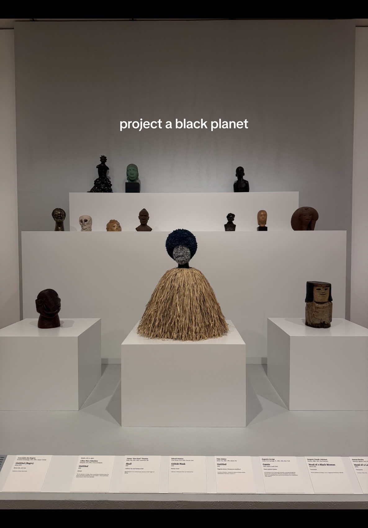 When I say working in a museum is my retirement plan !!!#projectablackplanet #plateswithp #artinstituteofchicago #freethingstodochicago 