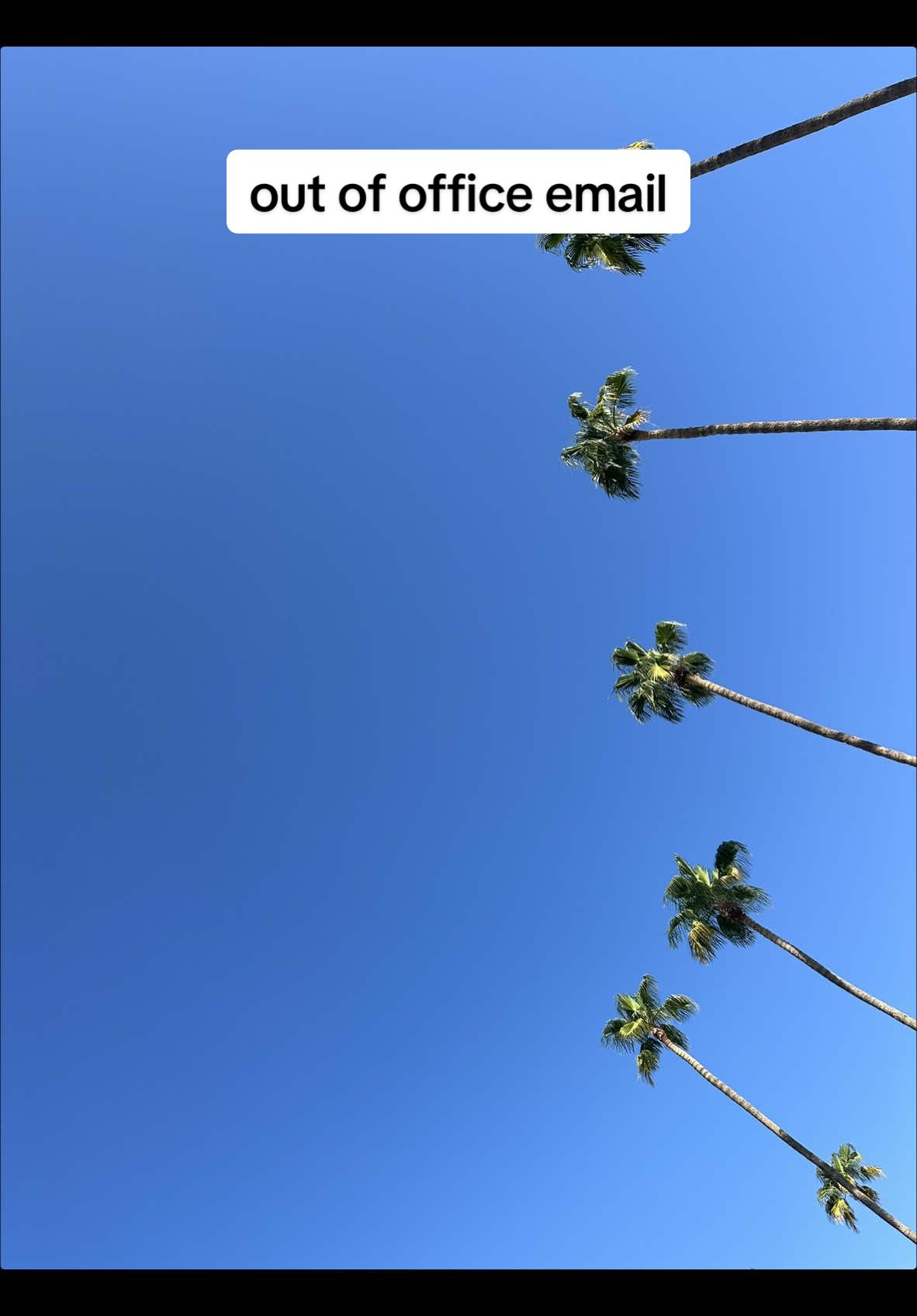 Get me in a tsa line, on a plane, and somewhere with palm trees. Thanks. ✨