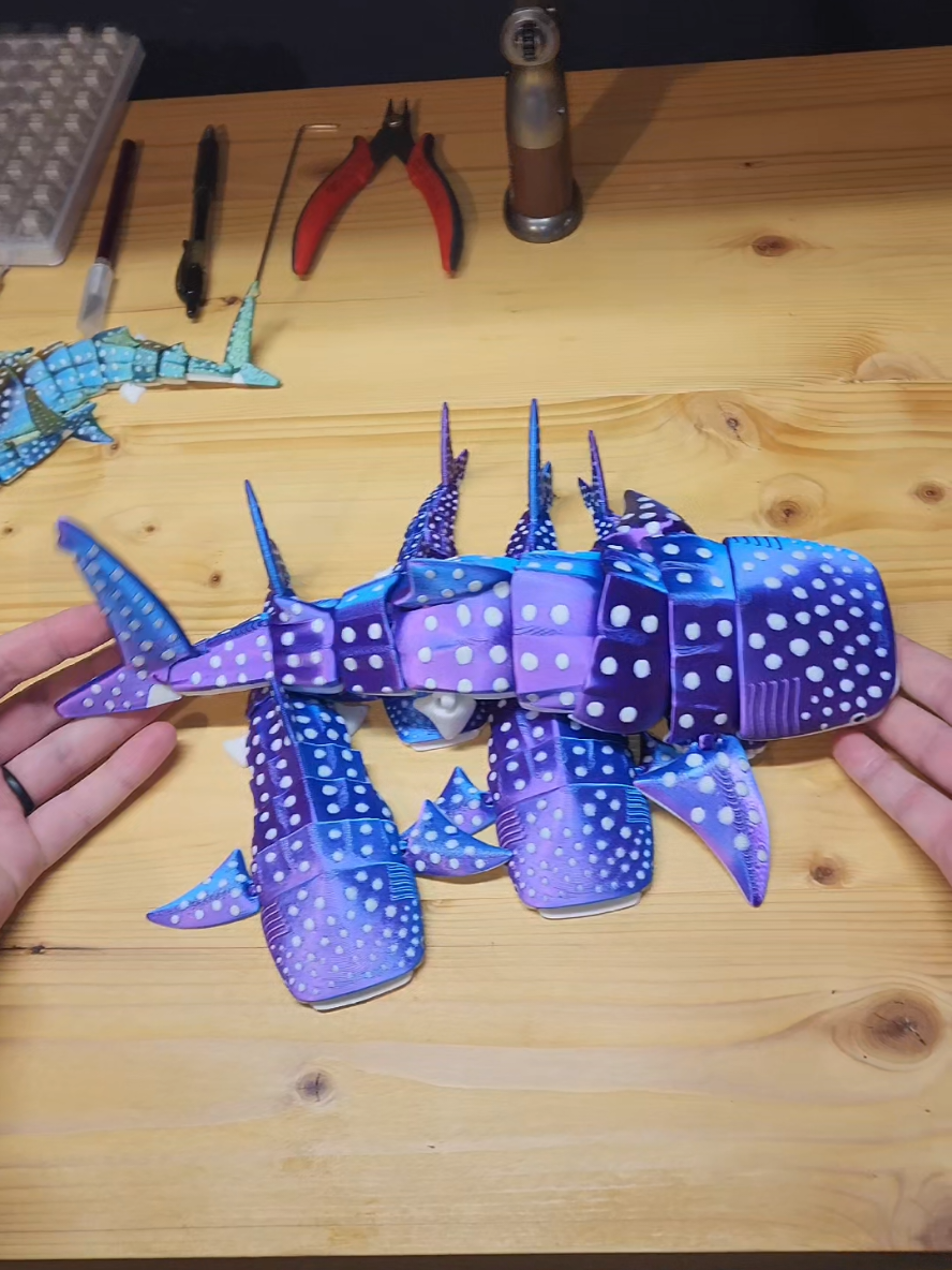 This Extra Large Whale Shark came out bigger than I thought... #whaleshark #ocean 