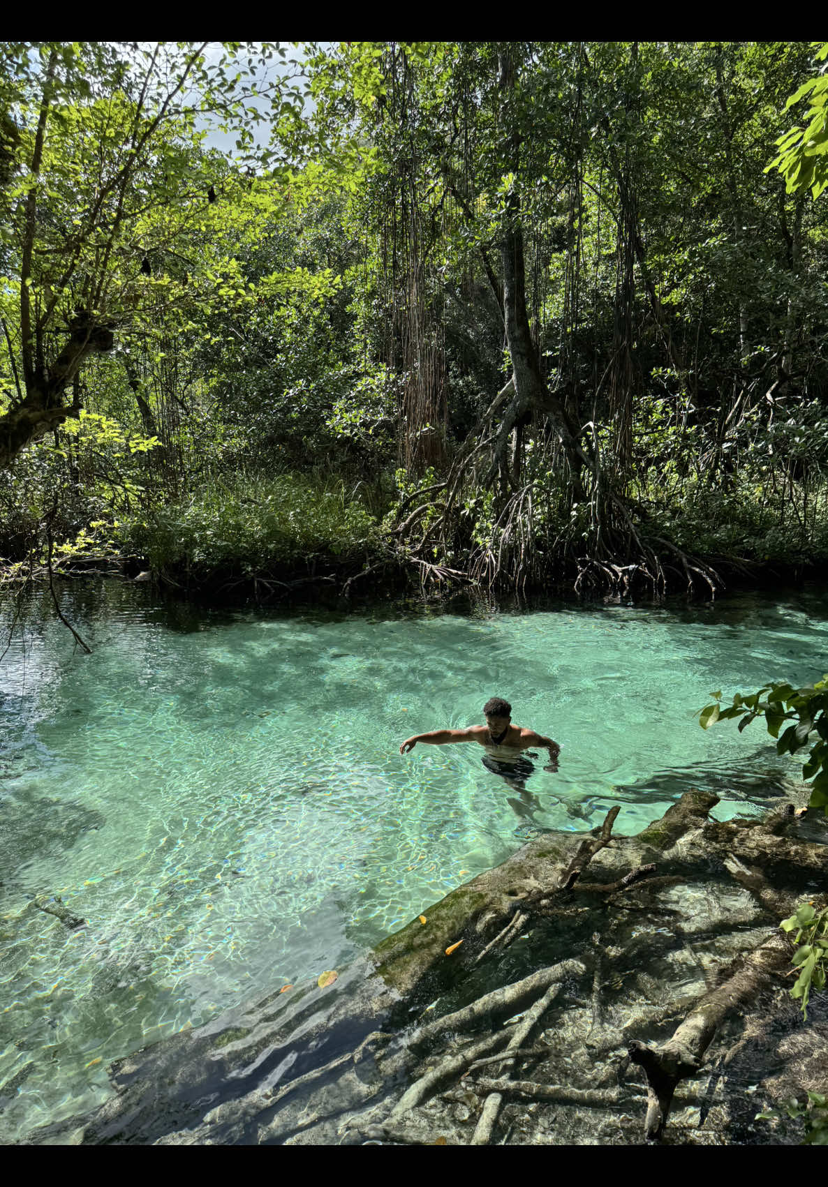 Caño frío - Samana📍🇩🇴 . . . . . . . . . . #cañofrio #samana #playarincon #rios #rioenplaya #ecoturismo #turismord #ecoturismord #aventuras #aventureros #naturaleza #republicadominicana 