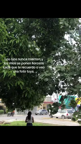 Supieras lo mucho que te extraño#tiktoknews #tiktokponmeenparatiporfa #ponmeenparatitiktok #contenidorandom 
