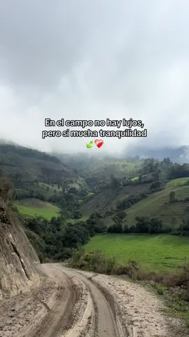 Agradable🤍 #frias #ayabaca #naturaleza #viral_video #paz #tranquilidad #paratii #ayabacaperu🇵🇪 