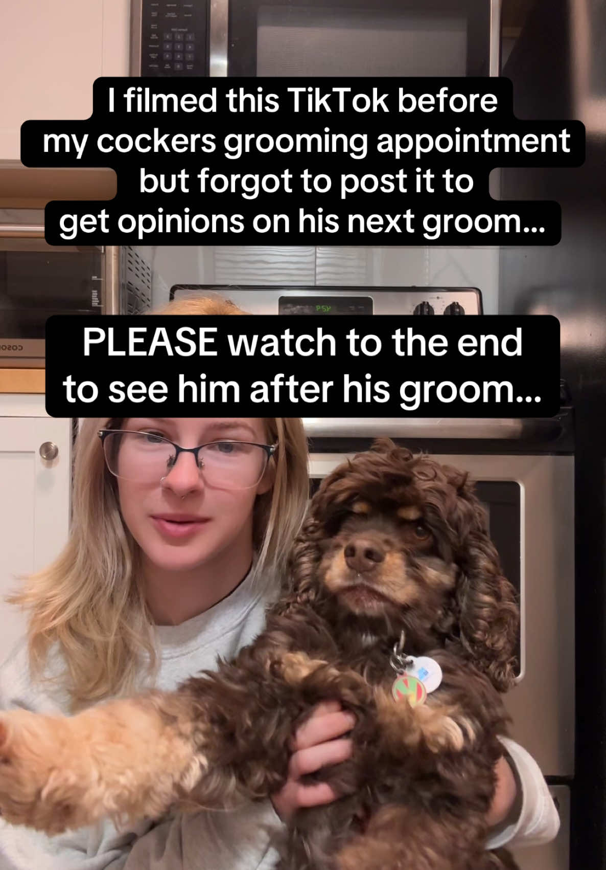 I am so afraid… #cockerspaniel #groom #fyp #dogsoftiktok #scared #after #grooming #spaniel 