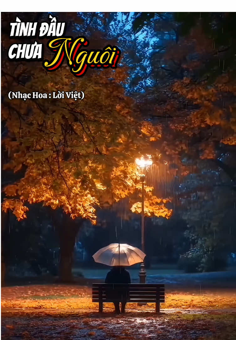 Tình đầu chưa nguôi...🌹🌹🌹#longervideos #nhachaymoingay #nhacbuon #nhactiktok #nhactamtrang #nhacbolero #tinhdauchuanguoi #hồngđen 