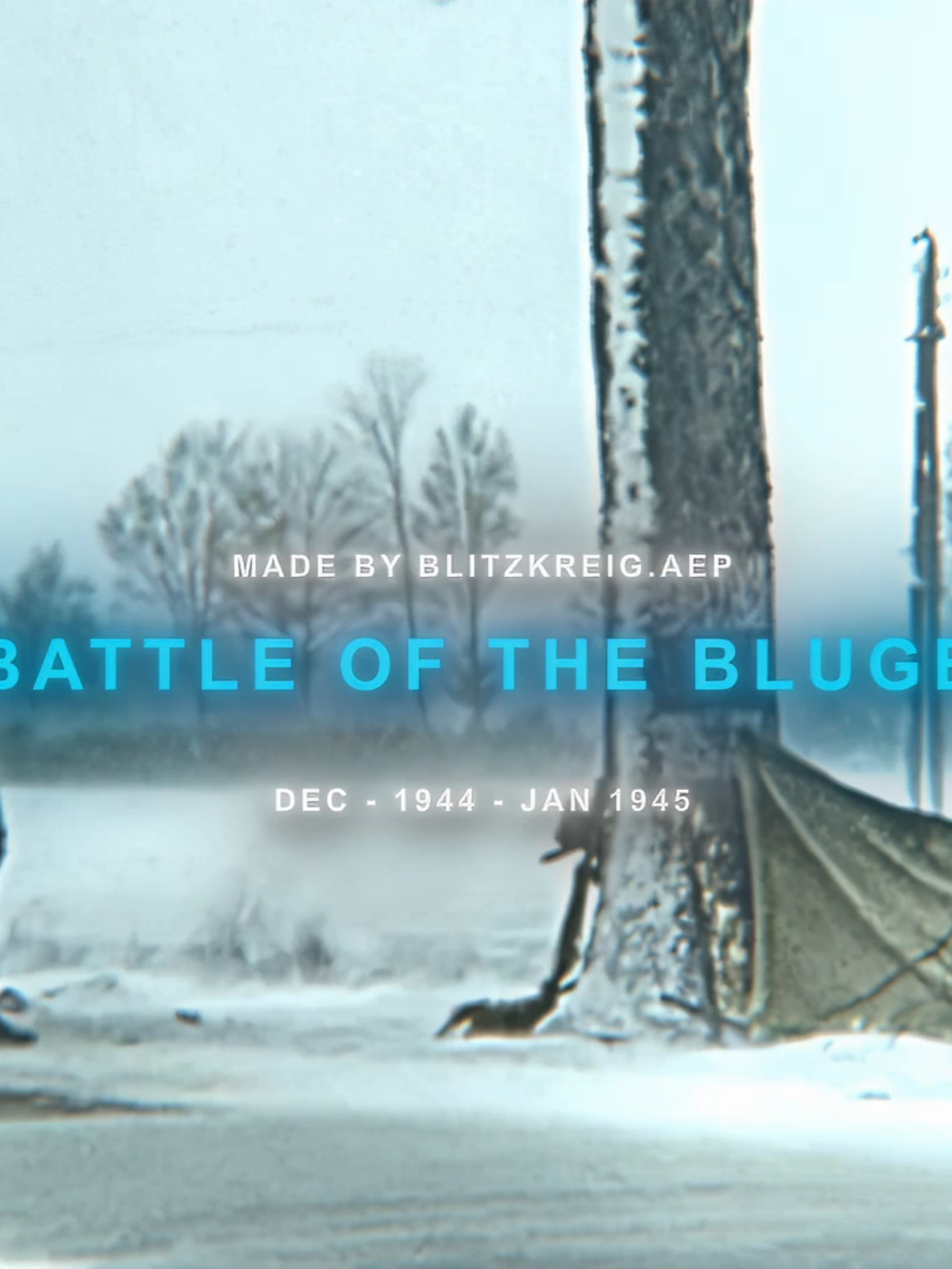 Battle of the Bulge 1944 - 1945 || ALL FAKE || #ww2 #education #fakesituation #dday #ww2edit #viral #fyp