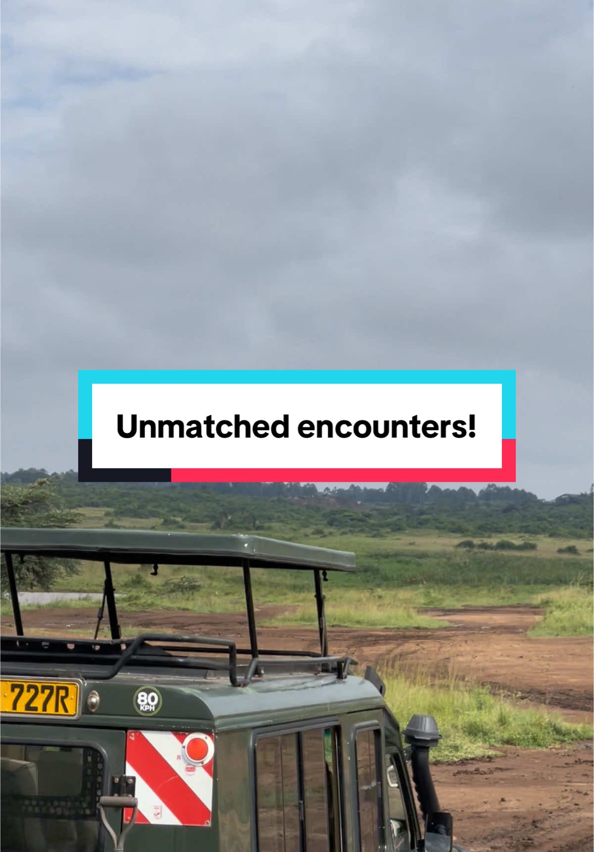 Kenya safari experiences are unique as you journey through favorite safari destinations to look out for incredible creatures as the giraffe🦒 Book your safari with us today! Contact us; 📞 +(254) 780 269 465 | (+254) 112 305 890 📧 sales@milanatours.com 🌐 milanatours.com #explore #discoverplaces #africansafari #wildlifesafari #adventure #wanderlust #tiktokuni #tiktoknews #tiktokviral #milanatours #milanasafaris #tiktoktainment #tiktokkenya #kenyatiktokers #safaritiktokers #nairobitiktokers #nairobi #magicalkenya #travel #traveltips 
