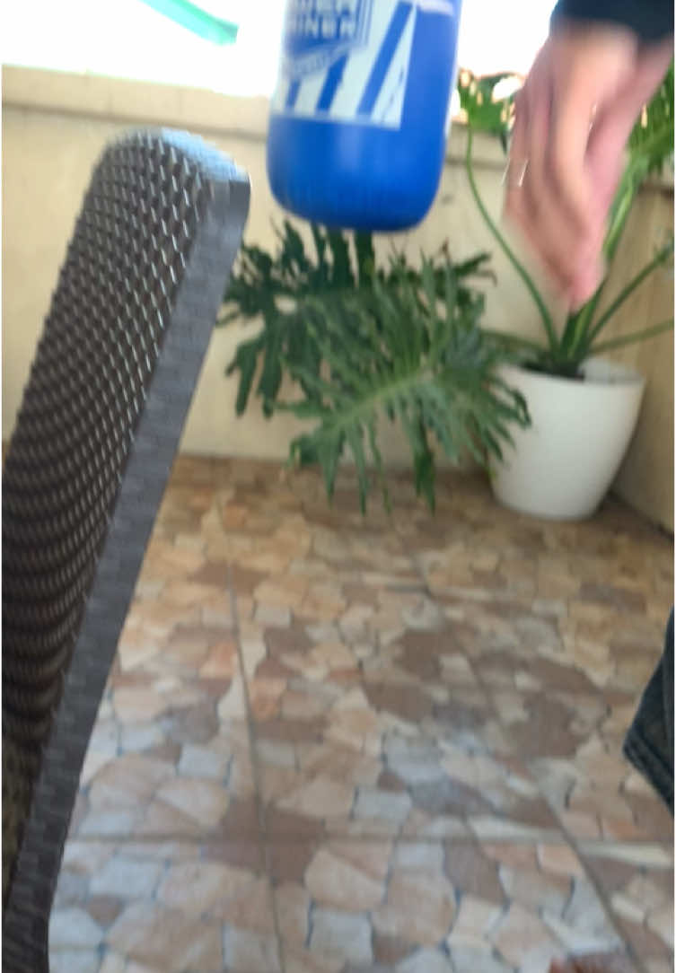 Magingat kana boi