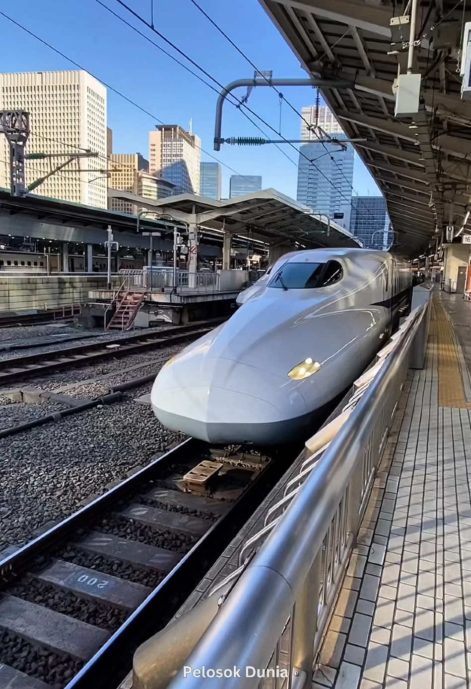 Dari 1964 Hingga Jadi Kereta Cepat Terbaik di Dunia #shorts #keretacepat #shinkansen #whoosh 