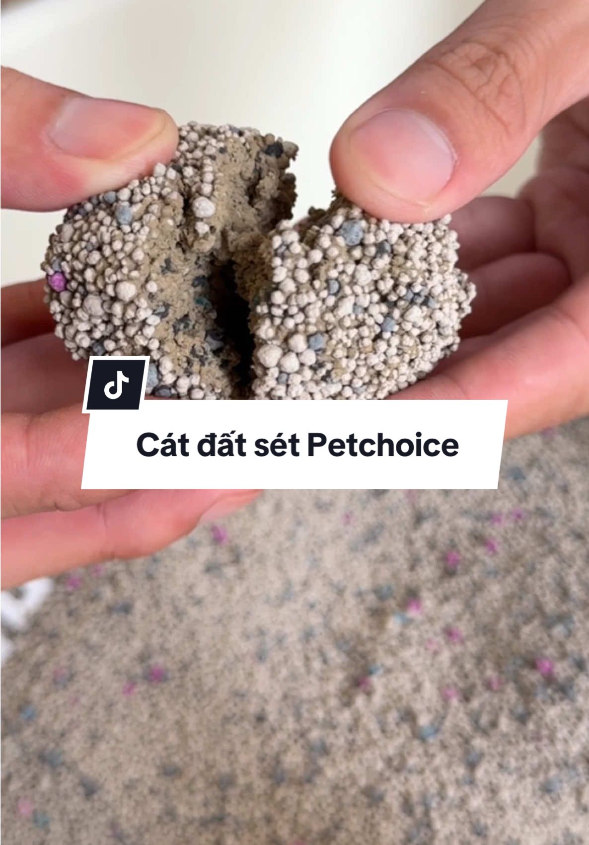 Trong tầm giá này thì cát đất Petchoice là quá đã luôn #nuoimeo #catdatset #catvesinhchomeo #catmeo #petchoice #vesinhthucung #giadinhmeo 