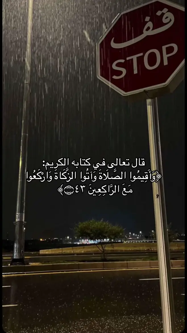 #ماهرالمعيقلي #TikTokPromote #fyp #🇸🇦 