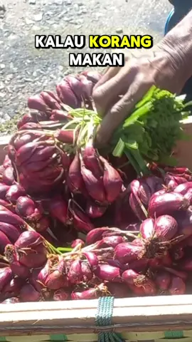 Ada masalah buah pinggang?? Kreatininn dah tinggi ? Letih hadap dialisiss setiap minggu ? Try bawang dayak ni  #kreatinin #buahpinggangbocor #buahpinggang #sakitbuahpinggang #kidney #kidneyfailure #fypage #fyppppppppppppppppppppppp #bawangdayak #bawangdayakaslikalimantan #xyz #xyzabc #xyzbcafypシ #4upage #4u #dialisis 