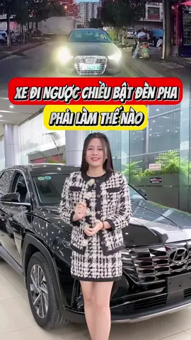 Xe Đi Ngược Chiều Bật Đèn Pha Phải Làm Thế Nào #bcar #bcarhanoi #vuongquocgamcao #mchoaingoc #hoaingocbcar