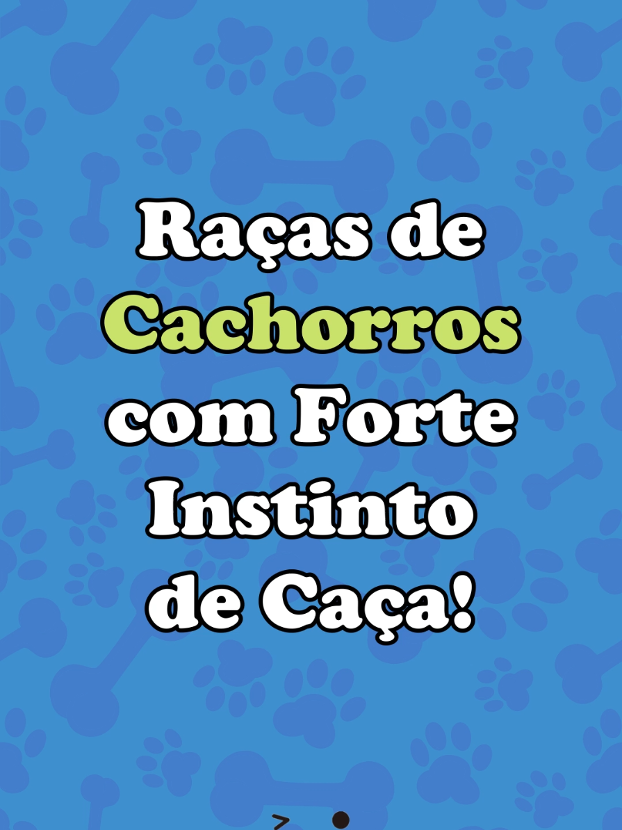 Raças de Cachorros com Forte Instinto se Caça! #cachorro #Cachorros #animal #animaldeestimação #cao 