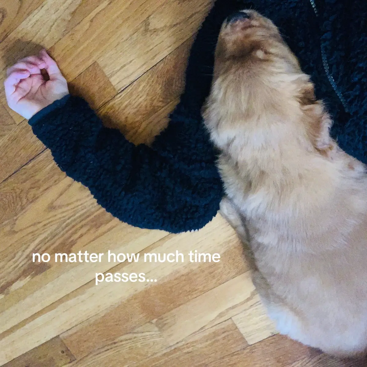 Some things just never change🥲 #fyp #foryoupage #foryou #goldenretriever 