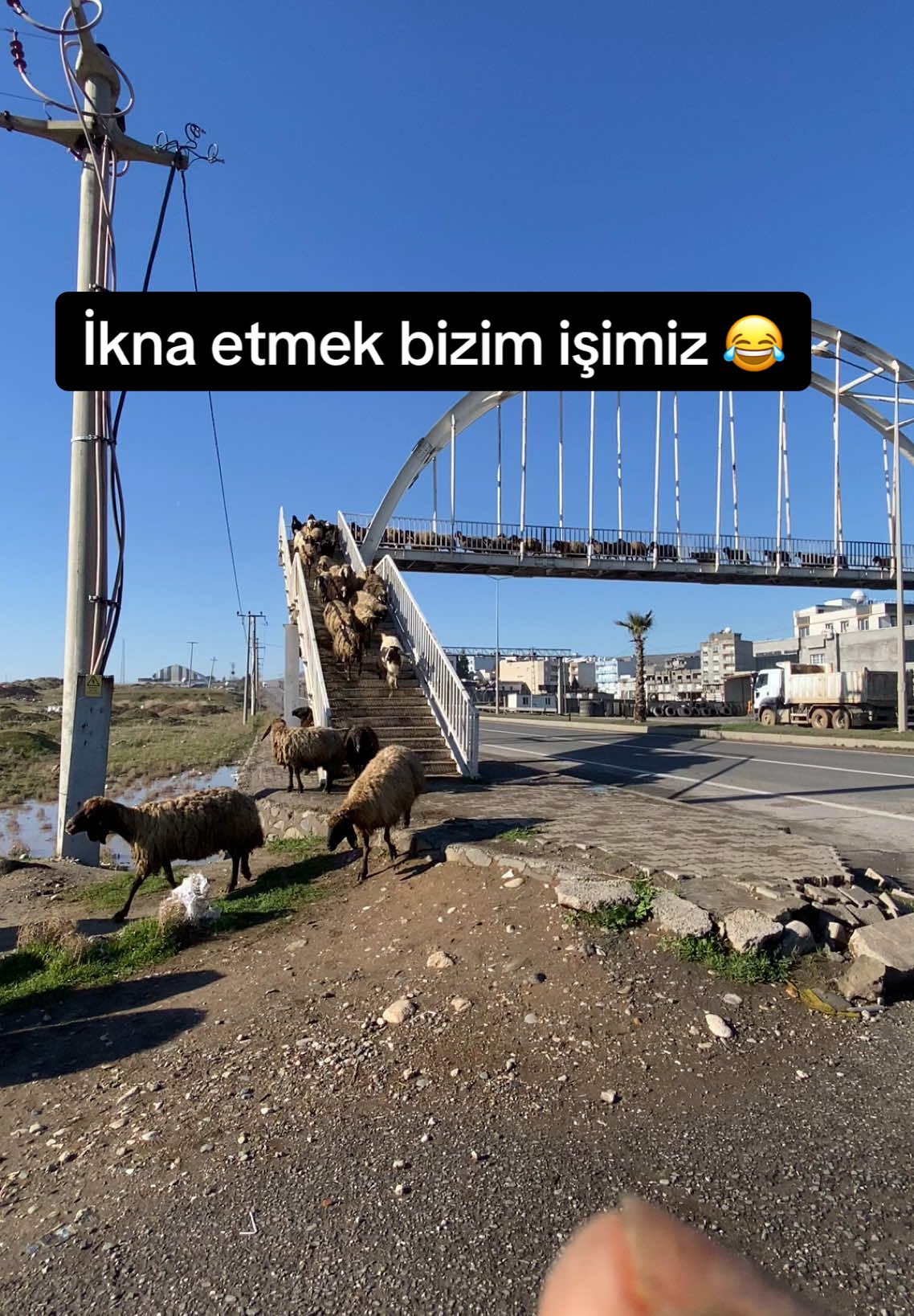 Sırayla 😂#cizrem 