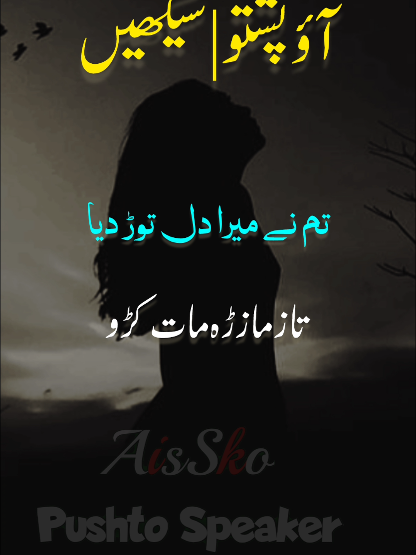 Tum ny mera dil tor dia  #viral #tiktok #urdu #pashto #shorts #aisskopushto @AisSko pushto learning ✅ @AisSko Poultry Farms 