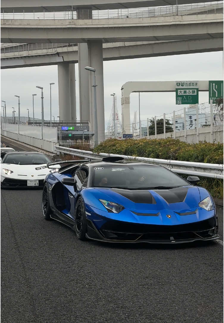 Aventador SVJ👑 #lamborghini  #lamborghiniaventador  #lamborghiniaventadorsvj  #tokyo #cars247  #fyp #fyppppppppppppppppppppppp 