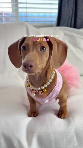 pretty pink tutu with a charm necklace for churros ootd 🎀💕☀️ #OOTD #outfitoftheday #dogoutfit #tutu #dogdress #cutie #pinkaesthetic #fyp #foryoupage 