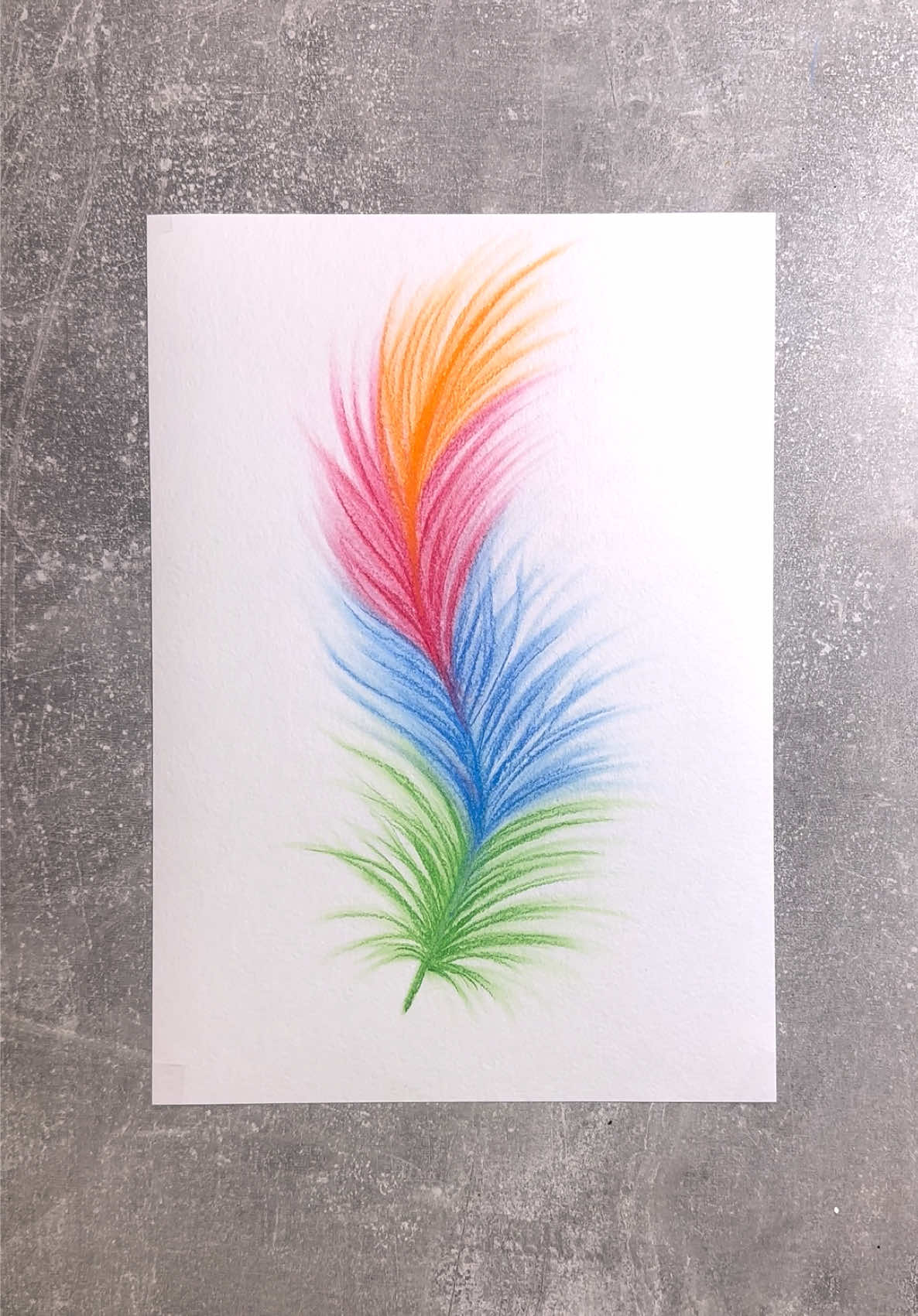 How to draw a feather 🪶✨