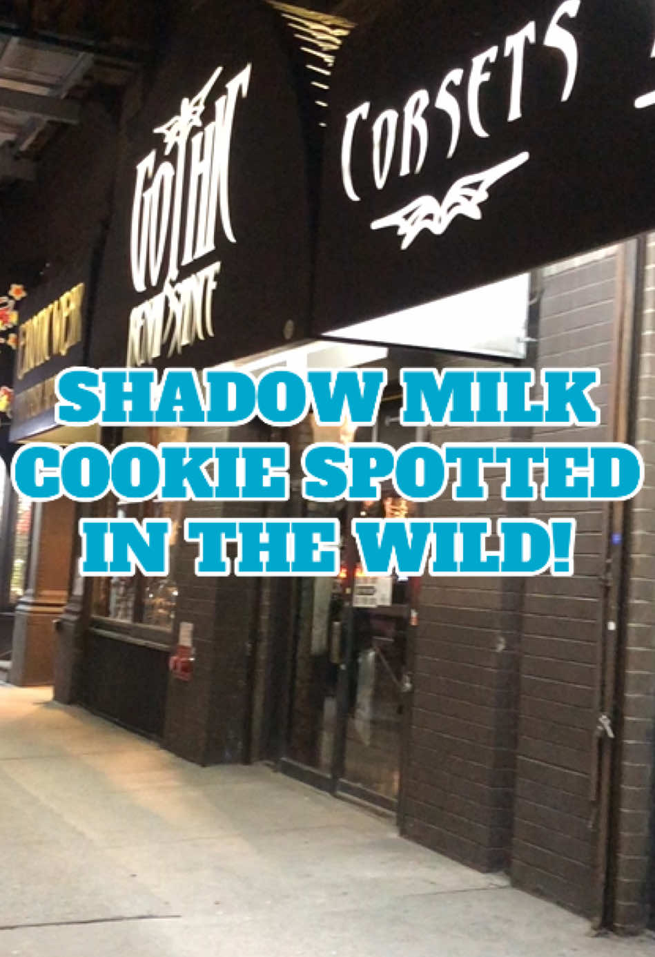 Why is he here?????? @Gothic Renaissance NYC  #shadowmilkcookie #cookierunkingdom #purevanillacookie #crk 