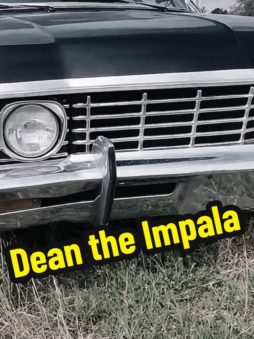 Check out Dean the Impala, the only car in our Haunting of Impalas fleet to feature the spotlights from Season One of Supernatural! This beautiful 1967 Chevrolet Impala is owned by my friend @Deborah White and she takes immaculate care of him 🖤 #creatorsearchinsights #supernaturaltiktok #1967chevyimpala #carsoftiktok #Impala67 #deanwinchester #cartok #supernatural 